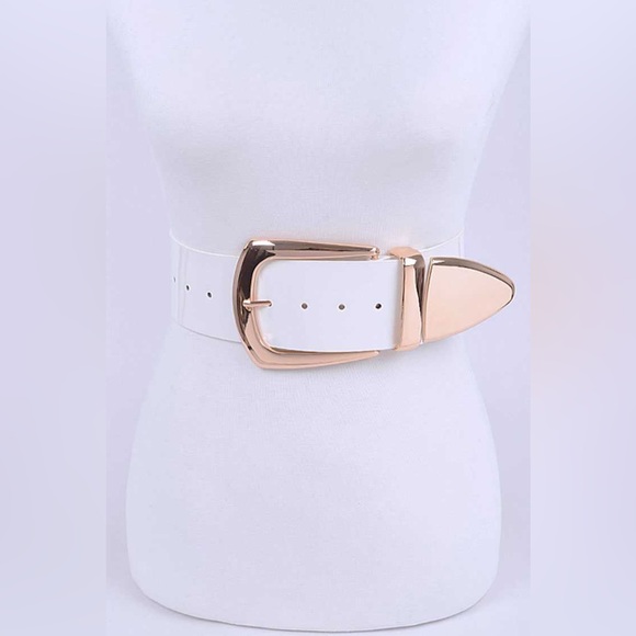 Plus Size Nude & Gold Metal Elastic Adjustable Statement Belt - Picture 2 of 7